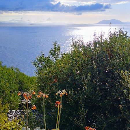 House On Punta Βίλα Vela Luka Εξωτερικό φωτογραφία