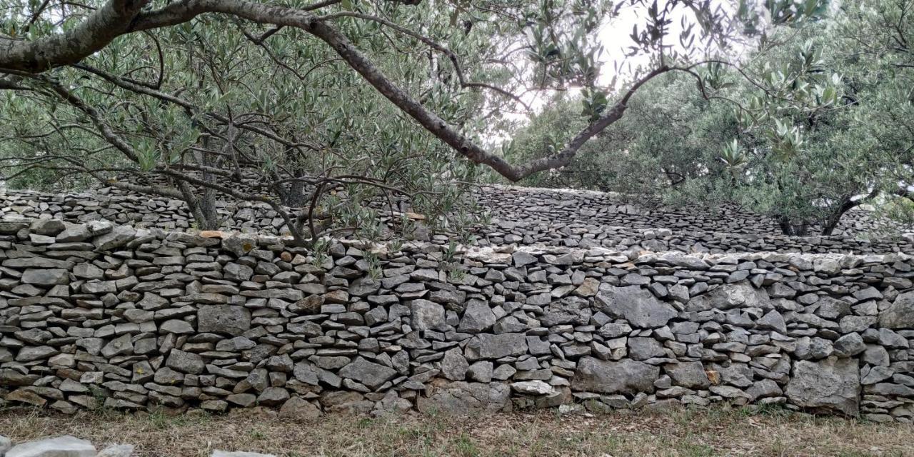 House On Punta Βίλα Vela Luka Εξωτερικό φωτογραφία