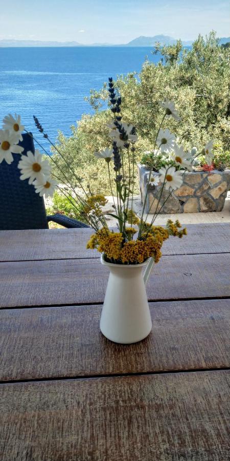 House On Punta Βίλα Vela Luka Εξωτερικό φωτογραφία