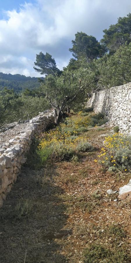 House On Punta Βίλα Vela Luka Εξωτερικό φωτογραφία