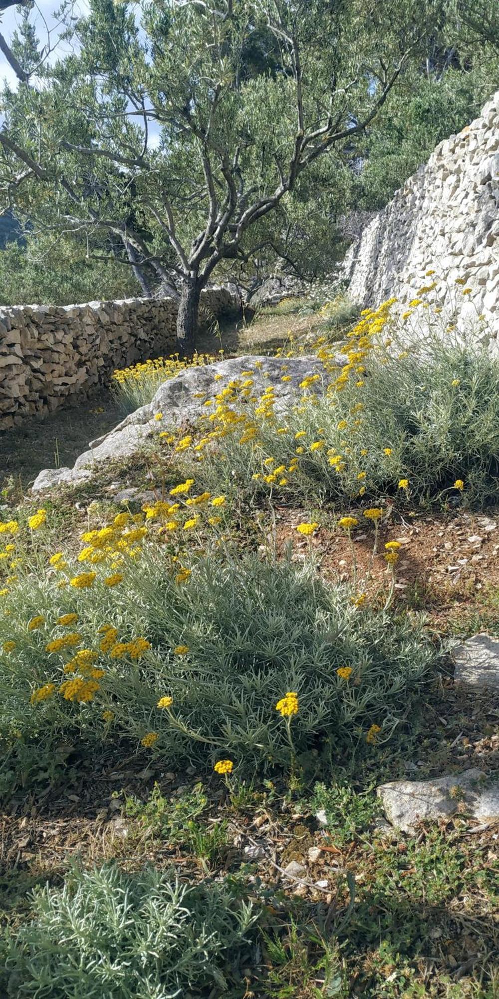 House On Punta Βίλα Vela Luka Δωμάτιο φωτογραφία