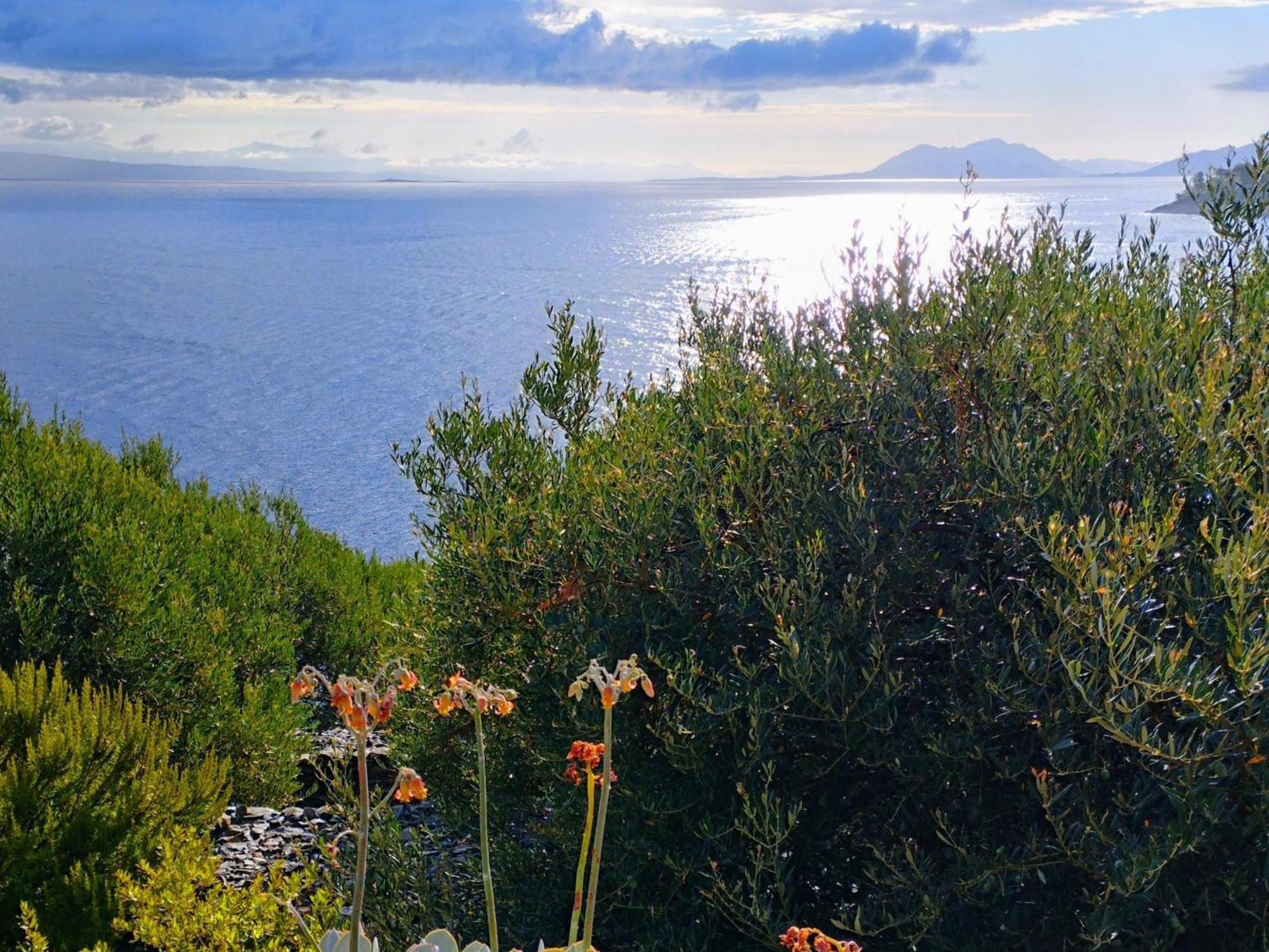 House On Punta Βίλα Vela Luka Εξωτερικό φωτογραφία